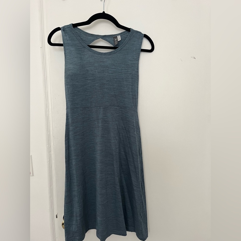 Ibex 100% Merino Wool Dress, Blue, Women’s XS